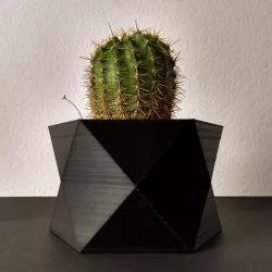 Pot #3