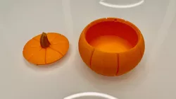 Pumpkin Container