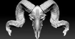 Ram Skull