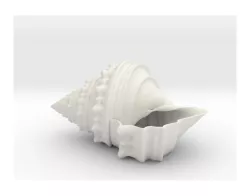 Shell Planter