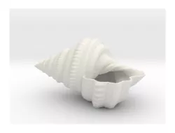 Shell Planter