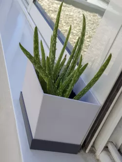 Simple rectangular pot for small plants and cactus.