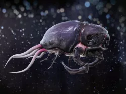 Space bug