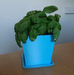 Square plant pot