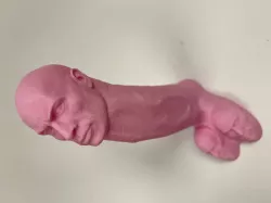The Rock Cock