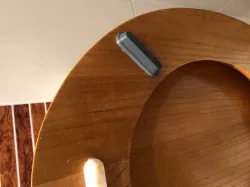 toilet seat skid