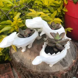 3-PACK LOW-POLY DINOSAUR POTS (T-Rex, Stegosaurus, Parasaurolopus)