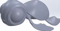 Baby turtle, baby turtle, bébé tortue