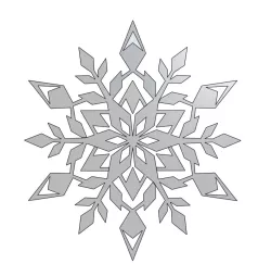 Beautiful Snowflake