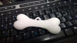 bone