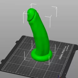 Bottle Dick Dildo