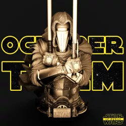 Darth Revan Bust - Star Wars 3D Models - Tested and Ready for 3D printing