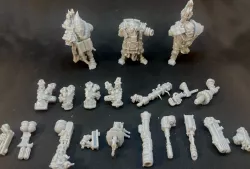Fanatic serving ogres (x3)
