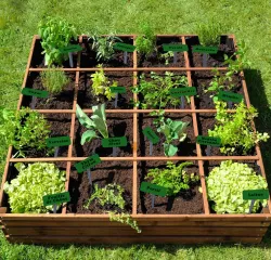 Fruit, Vegetable and Herb Labels