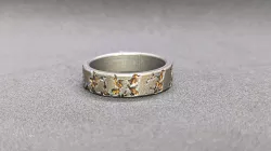 Iron Meteorite Ring