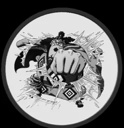 jimbe one piece coasters