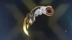 Karambit Champions Valorant