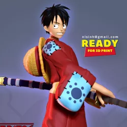 Luffy - Pirate Warrior