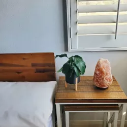 Modern 3 Legged Planter