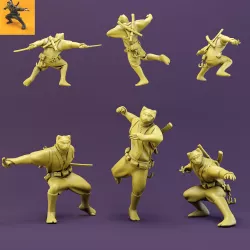 Ninja Cat-3poses