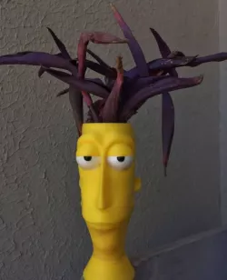 Pot bob Patiño
