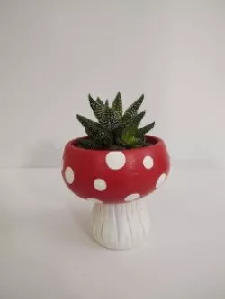 pot mushroom