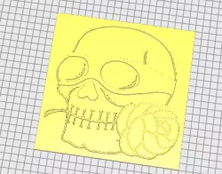 radical skull