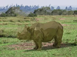 Rhino low poly