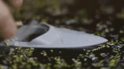 Rubber band paddle boat