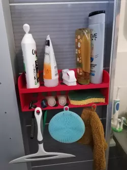 Shower organizer