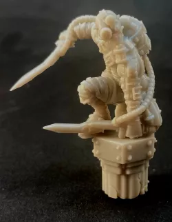 Sicarius assasin