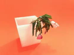 Square cup