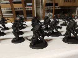 Termite Wardens