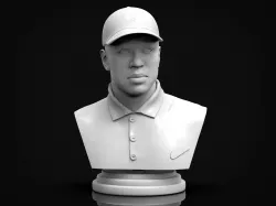Tiger Wood 3D Printable Bust