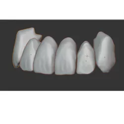 Tooth library