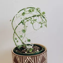 Trellis for climbing plants and vines