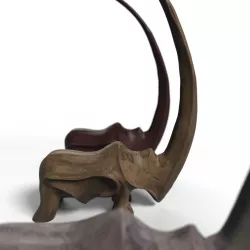 UNIQUE RHINO WITH LARGE HORN