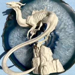 Water Dragon
