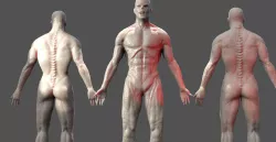 Zombie Warrior anatomy 1