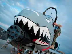A-10 Thunderbolt but it is blocky