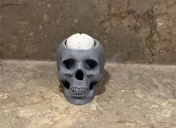 Action Skull with Bobbling Brain 