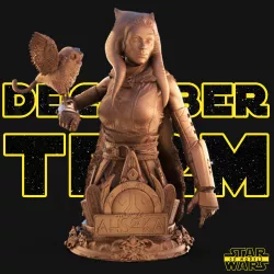 Ahsoka Bust - Star Wars 3D Models - Tested and Ready for 3D printing