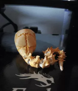 Articulated Skeleton Eye