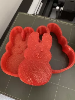 Bath bomb Bunny mold