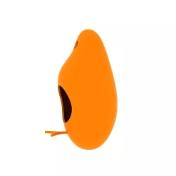 Bird1 - bird feeder