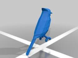 Blue Jay