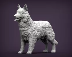 Border Collie 3D print model