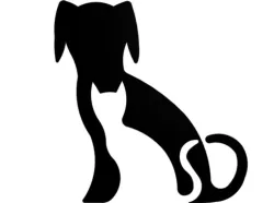 Cat and dog wall art