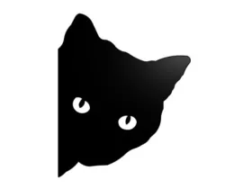 Cat Wall Art