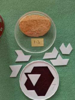 Chip Puzzle 1.3